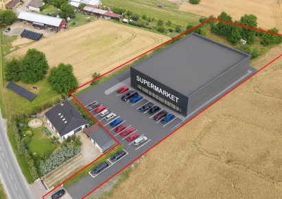 działka na sprzedaż - Złotoryja (gw), Kozów