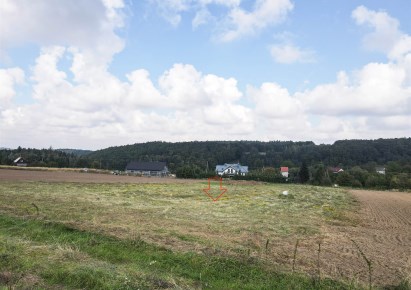 działka na sprzedaż - Złotoryja (gw), Leszczyna