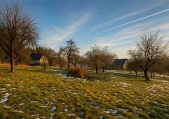działka na sprzedaż - Pielgrzymka, Czaple