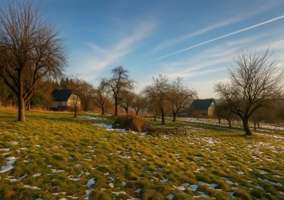 działka na sprzedaż - Pielgrzymka, Czaple