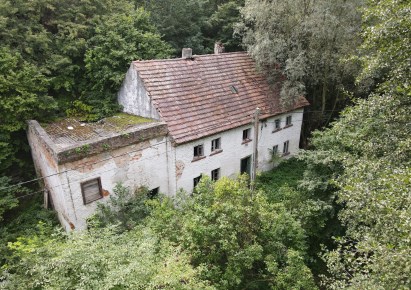 dom na sprzedaż - Zagrodno
