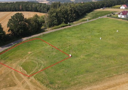 działka na sprzedaż - Złotoryja (gw), Rokitnica